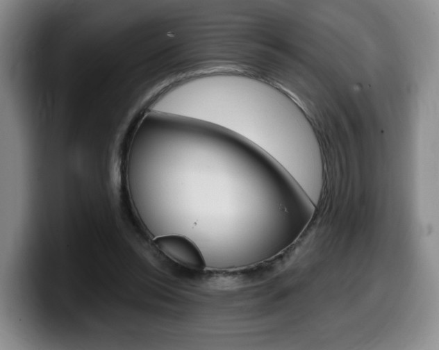 X0000099450350200805090732