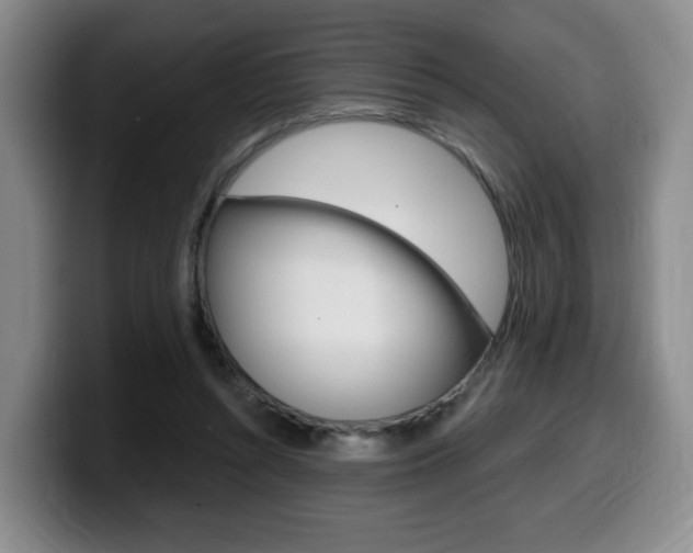 X0000099450352200805090732