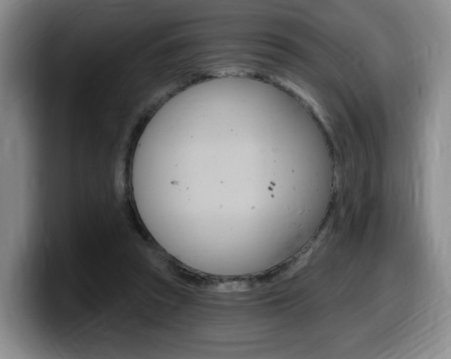 X0000099450353200805090732