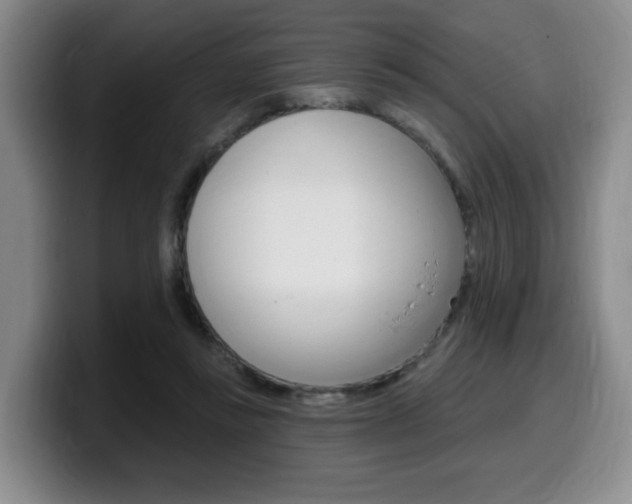 X0000099450355200805090732
