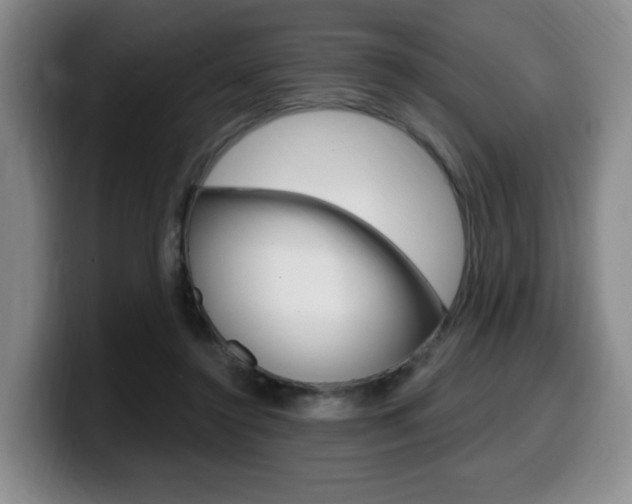 X0000099450356200805090732