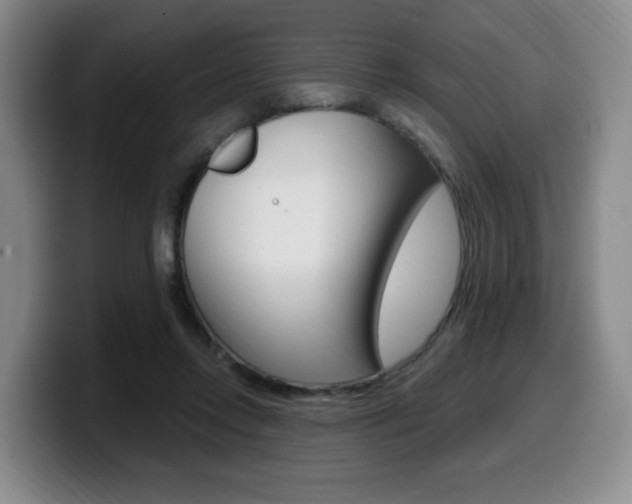 X0000099450358200805090732