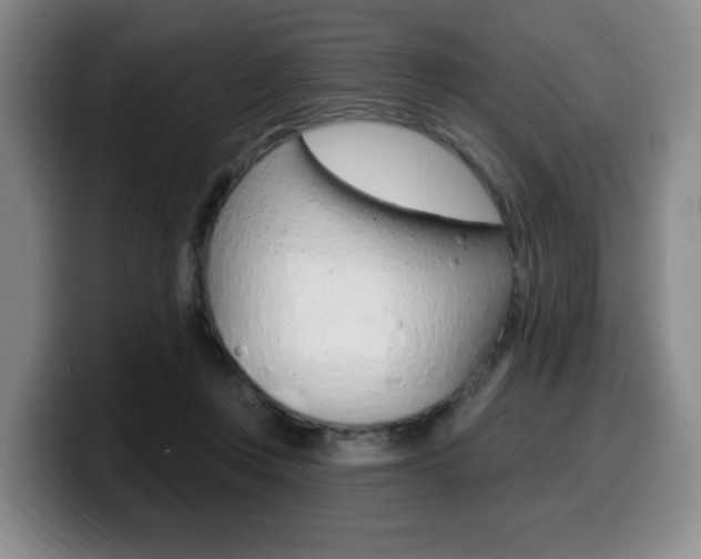 X0000099450359200805090732