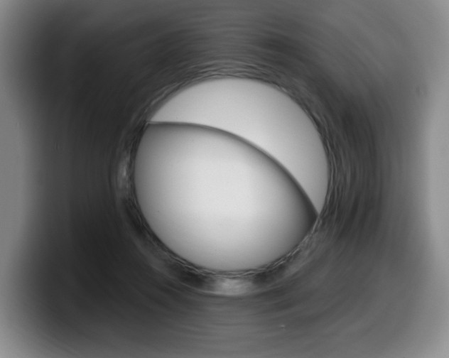 X0000099450360200805090732