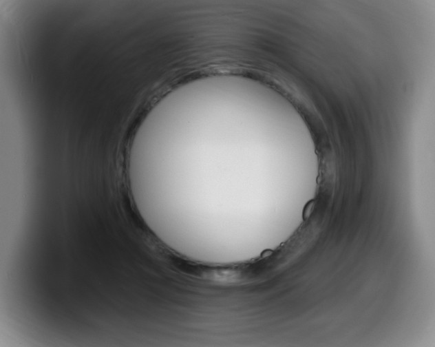 X0000099450361200805090732