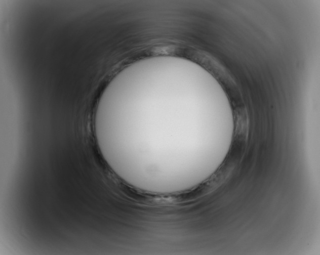 X0000099450363200805090732