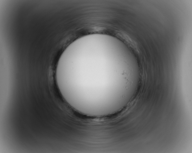 X0000099450366200805090732