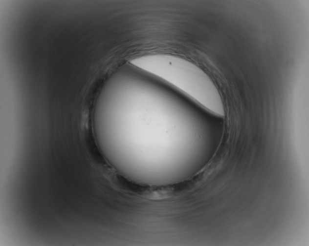 X0000099450368200805090732
