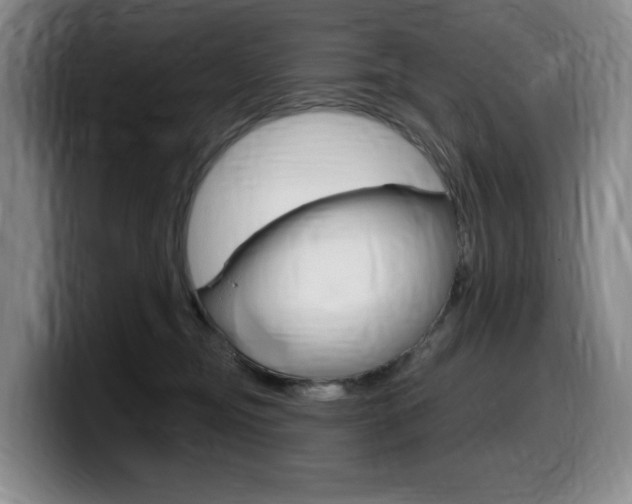 X0000099450374200805090732