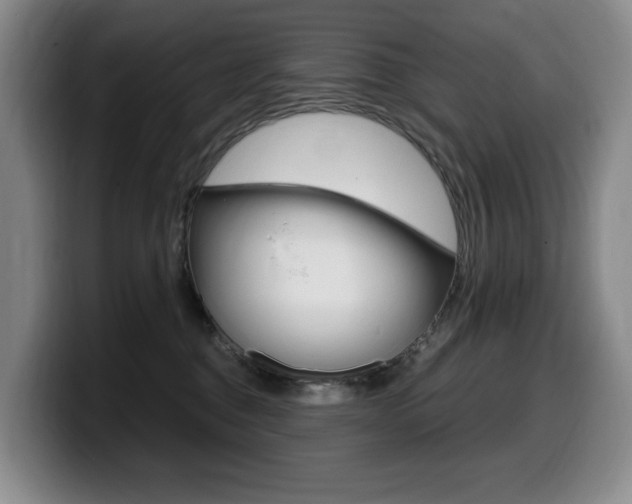X0000099450376200805090732