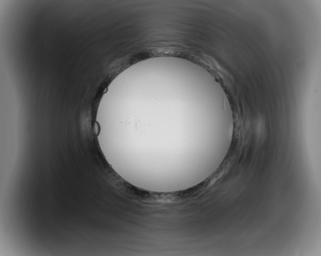 X0000099450377200805090732