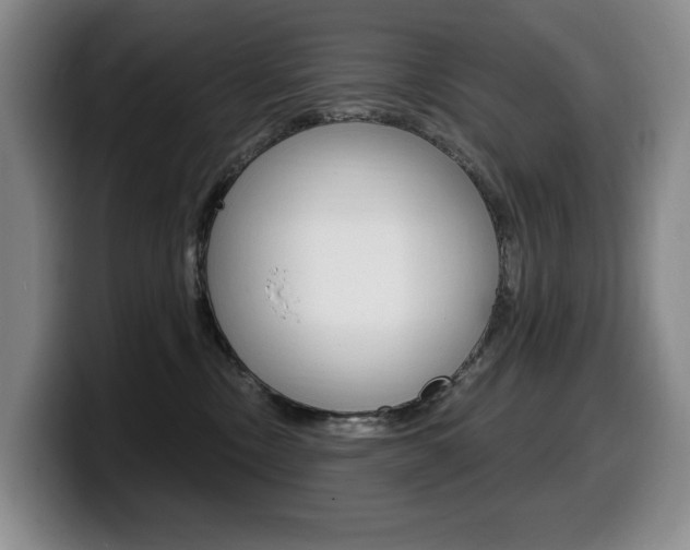 X0000099450378200805090732