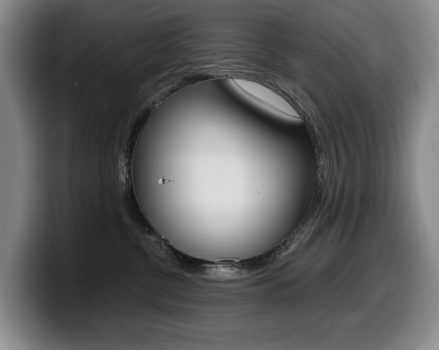 X0000099450380200805090732