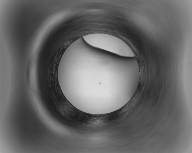 X0000099450381200805090732
