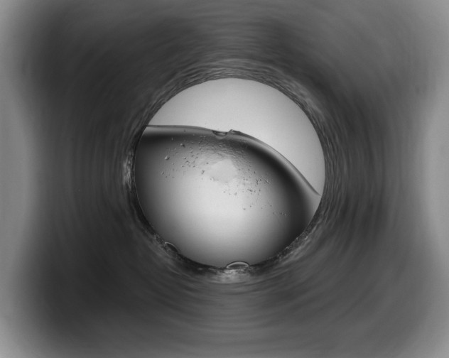 X0000099450382200805090732