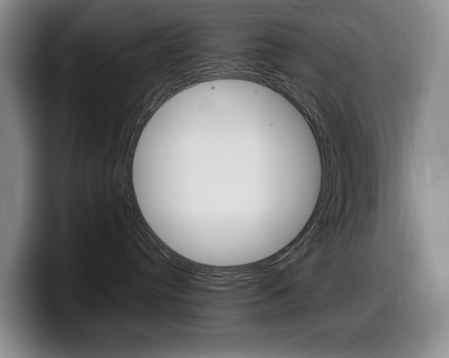 X0000099450384200805090732