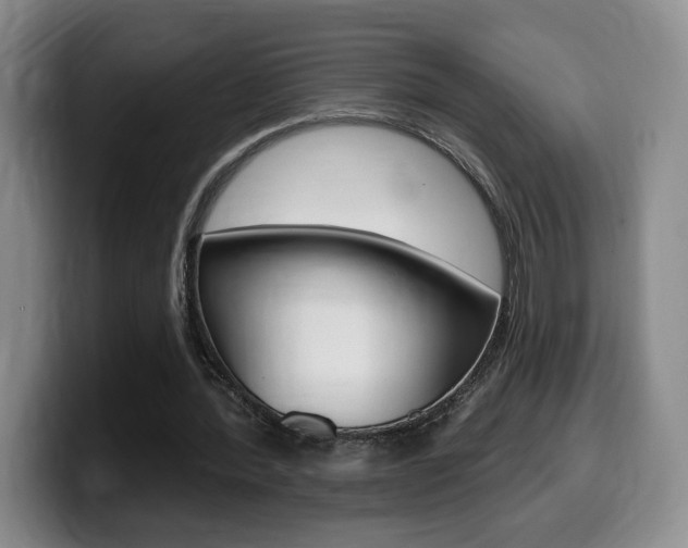X0000099450388200805090732