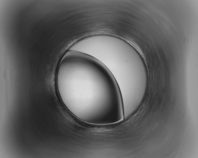 X0000099450389200805090732