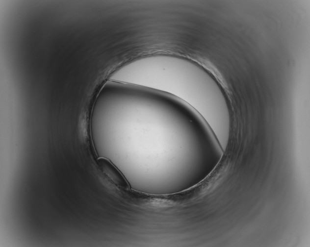 X0000099450393200805090731
