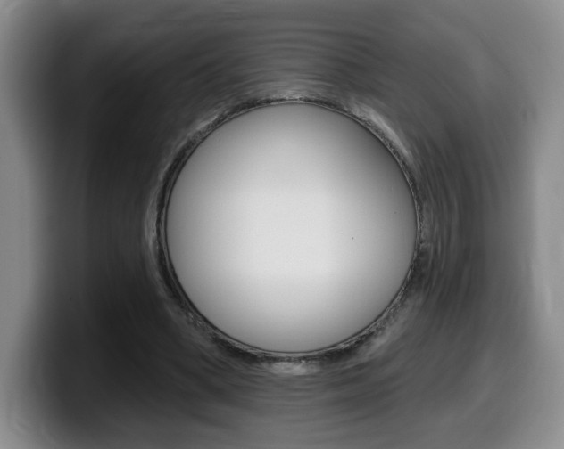X0000099450394200805090731