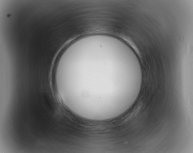 X0000099450395200805090731