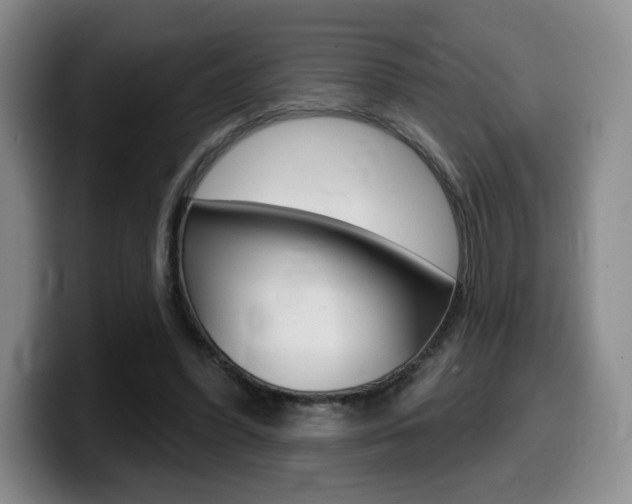 X0000099450396200805090731