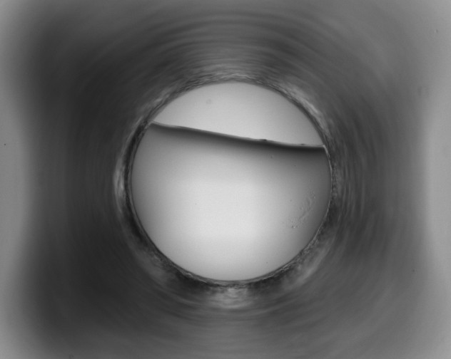 X0000099450398200805090731