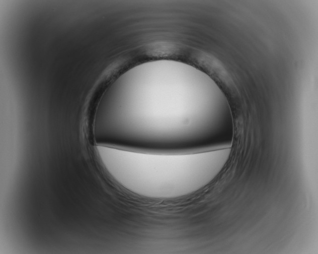 X0000099450400200805090731