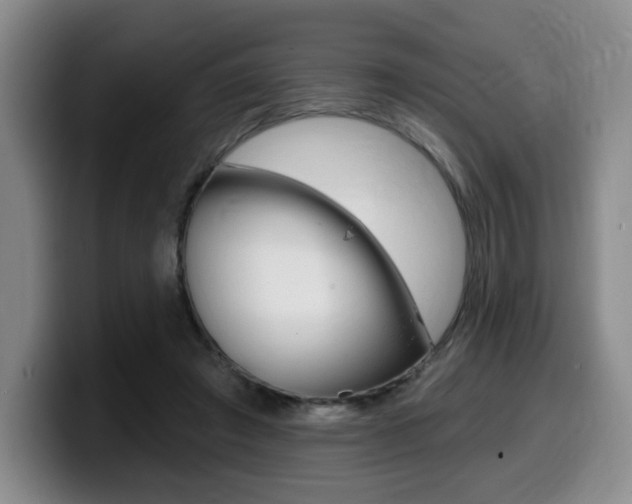 X0000099450401200805090731