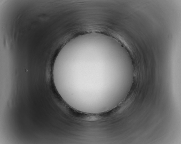 X0000099450402200805090731