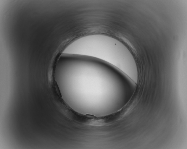 X0000099450403200805090731