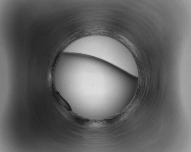 X0000099450405200805090731
