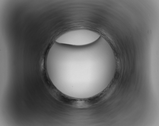 X0000099450406200805090731