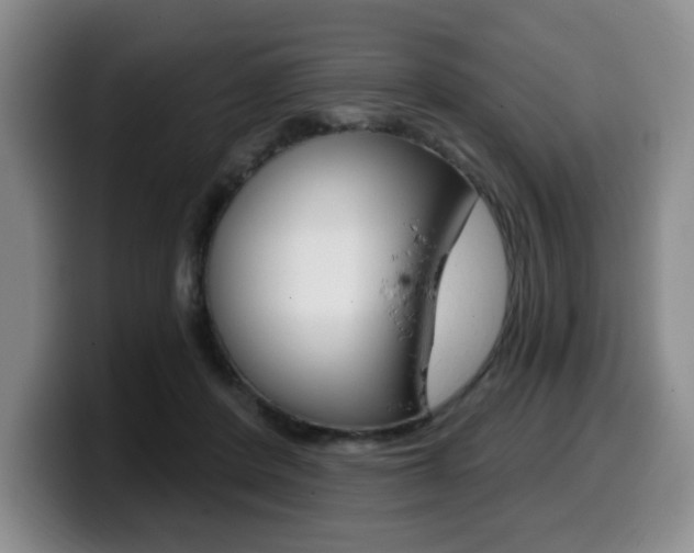 X0000099450408200805090731
