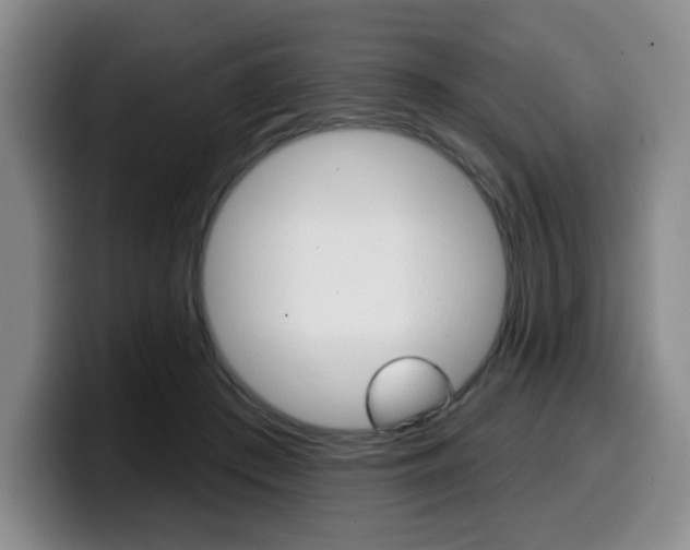 X0000099450409200805090731