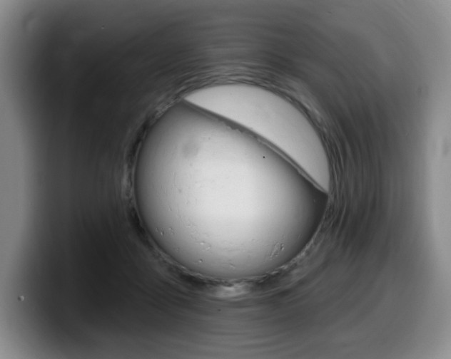 X0000099450411200805090731