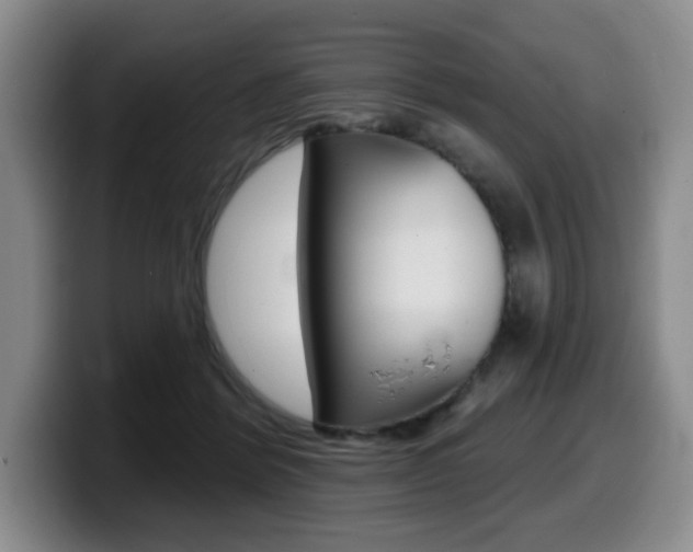X0000099450412200805090731