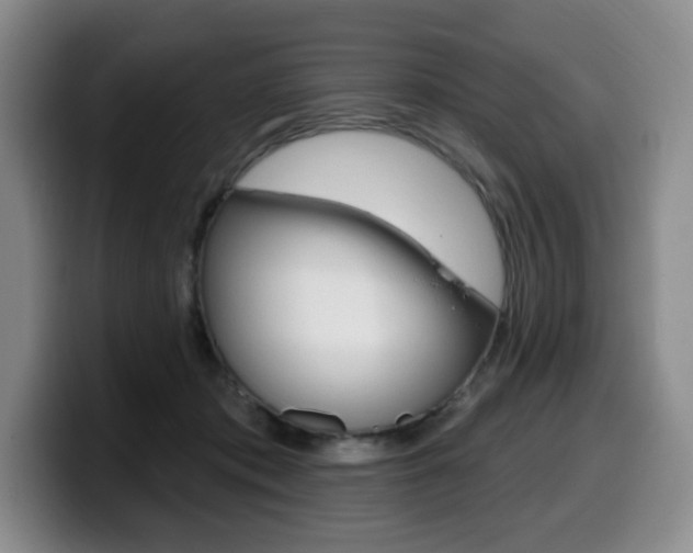 X0000099450413200805090731