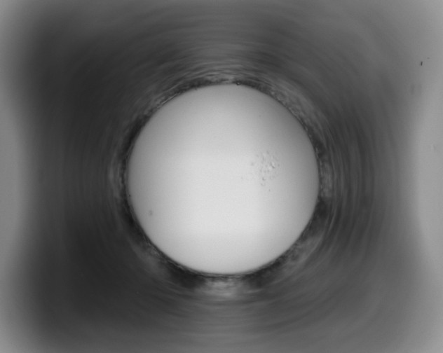 X0000099450414200805090731