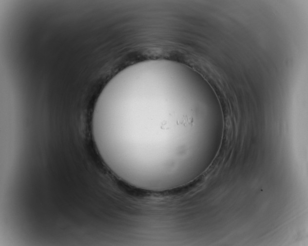 X0000099450416200805090731