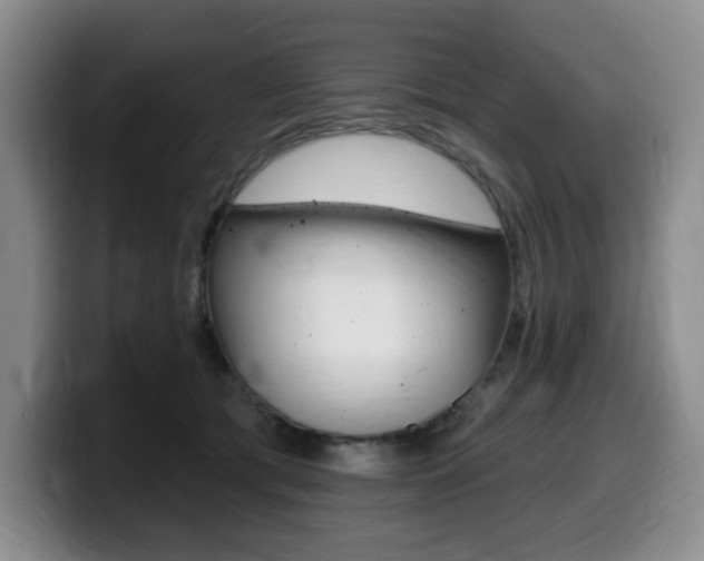 X0000099450417200805090731