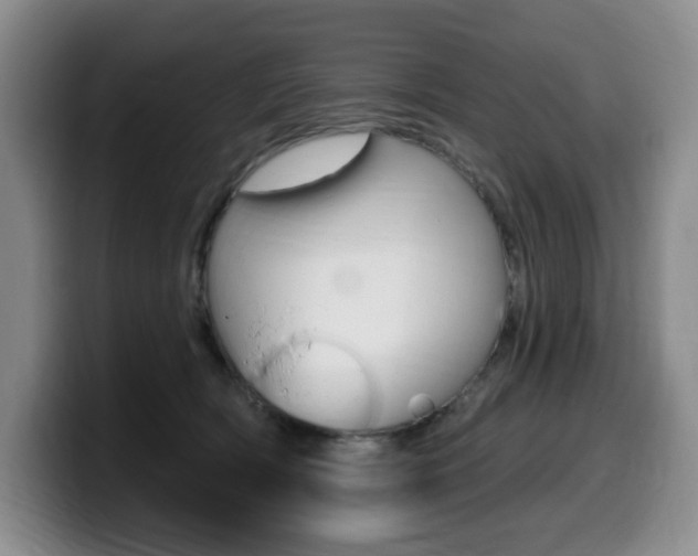 X0000099450418200805090731