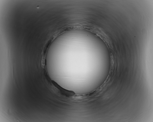 X0000099450419200805090731