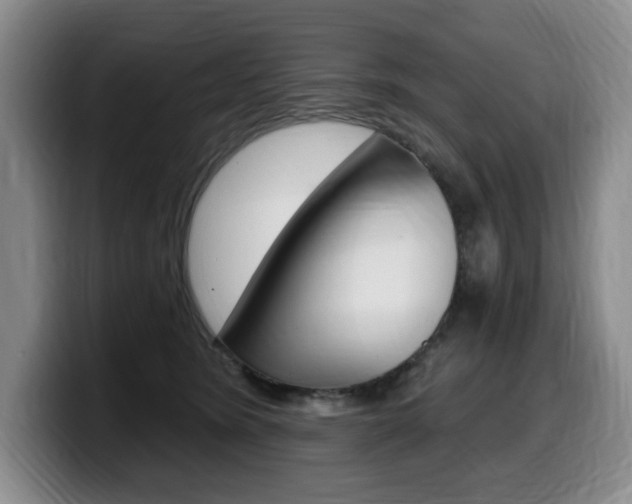 X0000099450420200805090731