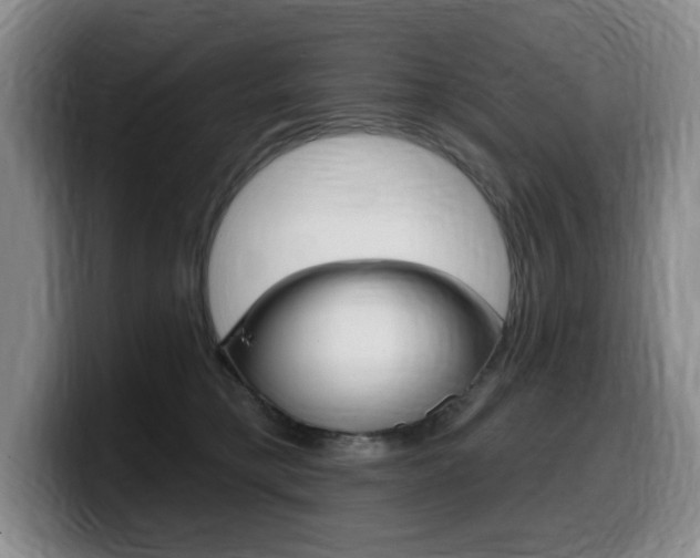 X0000099450421200805090731
