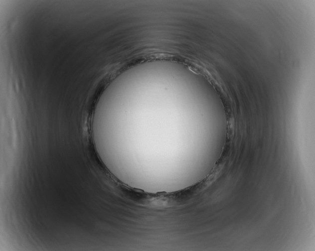 X0000099450423200805090731
