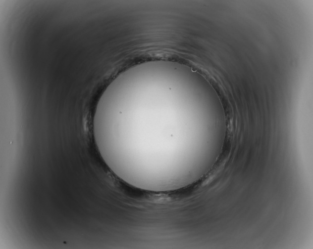 X0000099450424200805090731