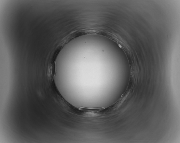 X0000099450425200805090731