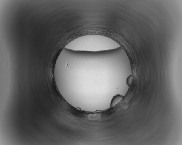 X0000099450426200805090731