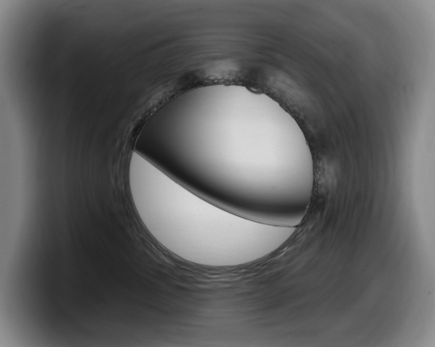 X0000099450428200805090731